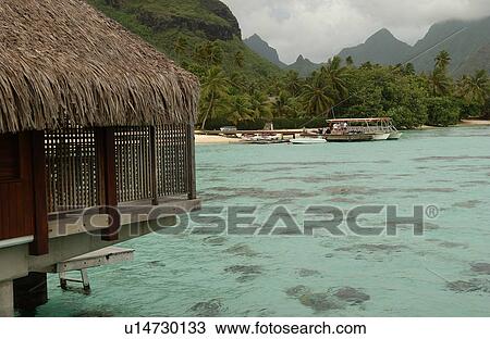 A shallow beach with corals, Moorea, Tahiti, French Polynesia, South Pacific View Large Photo Image Stock Image - A shallow beach with corals, Moorea, Tahiti, French Polynesia, South Pacific. Fotosearch