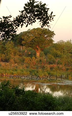 African Landscape View Large Photo Image Stock Image - African Landscape. Fotosearch