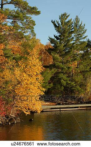 Stock Image - Edge of Lake and Autumn Colors. Fotosearch