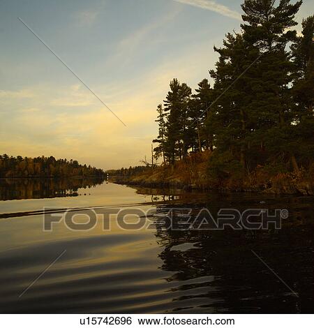 Evergreens Reflected in Lake View Large Photo Image Stock Photograph - Evergreens Reflected in Lake. Fotosearch