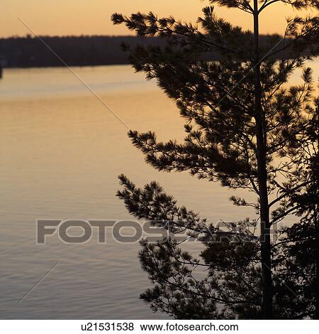 Stock Photo - Lake of the Woods, Ontario, Canada. Fotosearch