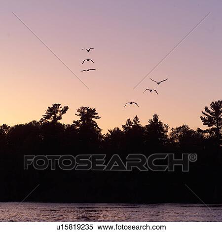 Stock Photography - Lake of the Woods, Ontario, Canada. Fotosearch