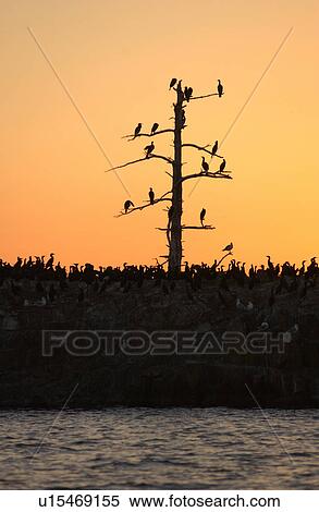 Lake Scenes View Large Photo Image Stock Photography - Lake Scenes. Fotosearch