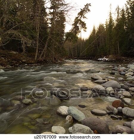 Nature trails in British Columbia. Canada View Large Photo Image Stock Photo - Nature trails in British Columbia. Canada. Fotosearch