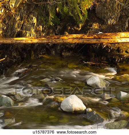 Nature - Whistler B. C., Canada View Large Photo Image Stock Photograph - Nature - Whistler B. C., Canada. Fotosearch