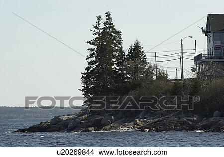 Picture - Nova Scotia, Canada. Fotosearch
