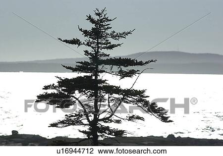 Stock Image - Nova Scotia, Canada. Fotosearch