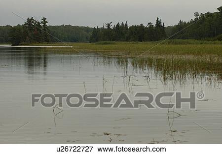 Stock Photo - Panoramic view of Lake of the woods, Ontario, Canada. Fotosearch