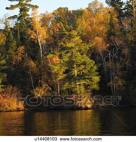 Shoreline of Lake with Autumn Colors View Large Photo Image Stock Image - Shoreline of Lake with Autumn Colors. Fotosearch