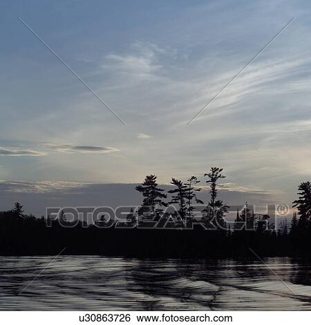 Silhouette of trees by Lake of the woods, Ontario, Canada View Large Photo Image Stock Photograph - Silhouette of trees by Lake of the woods, Ontario, Canada. Fotosearch