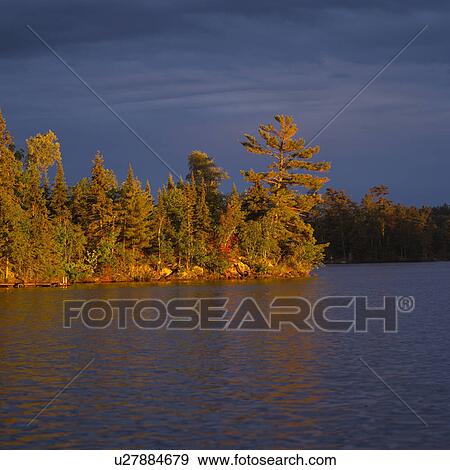 Trees on Lake of the woods, Ontario, Canada View Large Photo Image Stock Photo - Trees on Lake of the woods, Ontario, Canada. Fotosearch