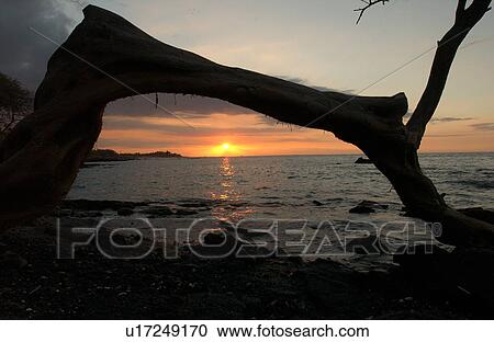 Big Island of Hawaii - sunset from beach View Large Photo Image Stock Image - Big Island of Hawaii - sunset from beach. Fotosearch