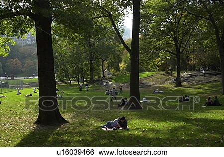 Central Park, New York City View Large Photo Image Stock Photograph - Central Park, New York City. Fotosearch