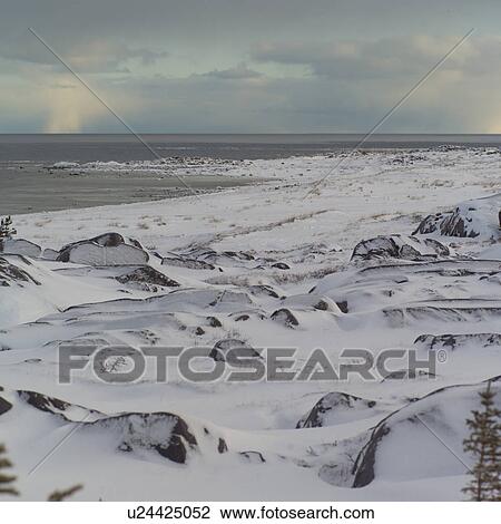 Stock Image - Churchill Northern Manitoba Canada Tundra Shoreline. Fotosearch