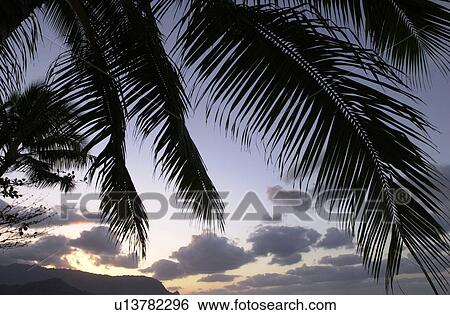 Hawaii & Kaui View Large Photo Image Stock Photograph - Hawaii & Kaui. Fotosearch