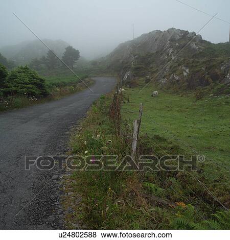 Stock Photo - Ireland - fog on road in Irish countryside. Fotosearch