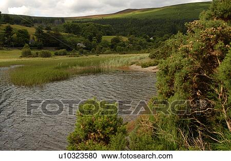 Stock Image - Ireland - Glendalough lake. Fotosearch