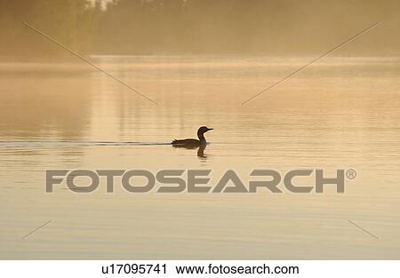 Stock Image - Lake Scenes. Fotosearch