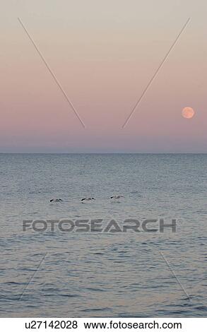 Lake Scenes View Large Photo Image Stock Photo - Lake Scenes. Fotosearch