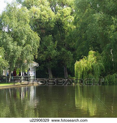 Stock Photo - Pond with trees. Fotosearch