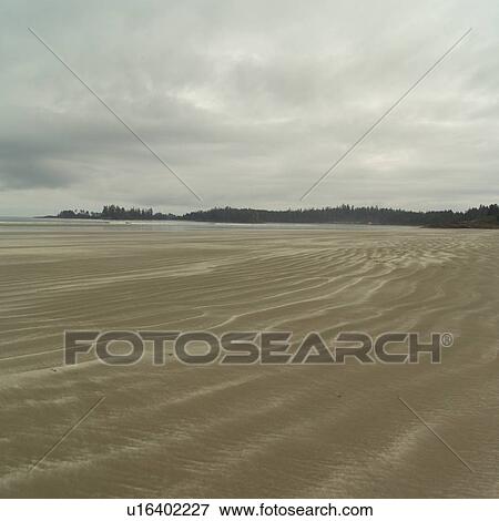 Seascape view of Pacific Ocean, Pacific Rim Park, Vancouver Island, Canada View Large Photo Image Stock Photo - Seascape view of Pacific Ocean, Pacific Rim Park, Vancouver Island, Canada. Fotosearch