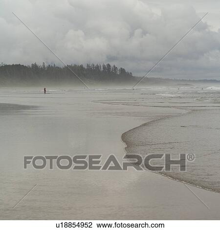Shoreline of Long Beach, Pacific Rim Park, Vancouver Island, Canada View Large Photo Image Stock Image - Shoreline of Long Beach, Pacific Rim Park, Vancouver Island, Canada. Fotosearch