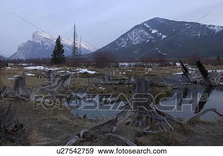 Vermillion Lake, Alberta, Canada View Large Photo Image Stock Photo - Vermillion Lake, Alberta, Canada. Fotosearch
