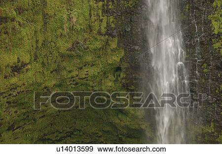 Akaka Falls - Big Island Hawaii View Large Photo Image Stock Photo - Akaka Falls - Big Island Hawaii. Fotosearch