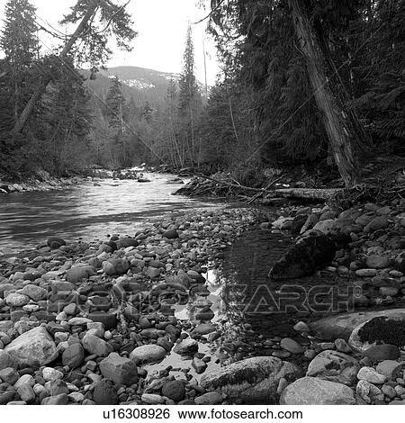 Nature trails View Large Photo Image Stock Photograph - Nature trails. Fotosearch