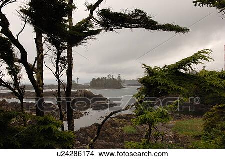Broken Islands, Pacific Rim National Park, Vancouver Island, Canada View Large Photo Image Picture - Broken Islands, Pacific Rim National Park, Vancouver Island, Canada. Fotosearch