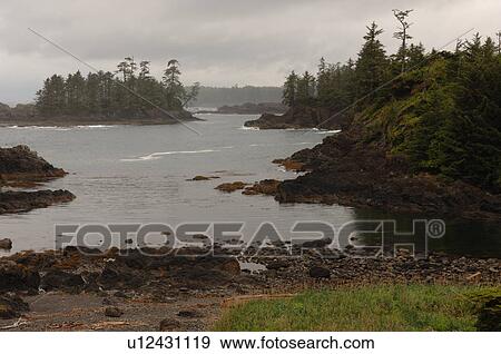 Broken Islands, Pacific Rim National Park, Vancouver Island, Canada View Large Photo Image Stock Photo - Broken Islands, Pacific Rim National Park, Vancouver Island, Canada. Fotosearch