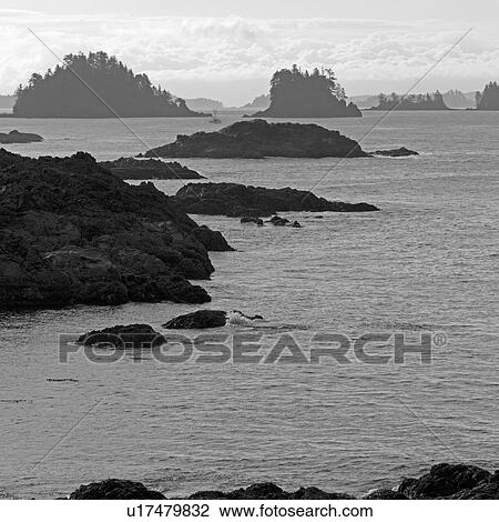 Broken Islands, Pacific Rim Park, Vancouver Island, Canada View Large Photo Image Stock Image - Broken Islands, Pacific Rim Park, Vancouver Island, Canada. Fotosearch