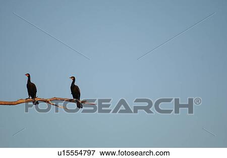 Lake Scenes View Large Photo Image Stock Photo - Lake Scenes. Fotosearch