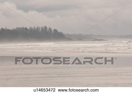 Long Beach, Pacific Rim National Park, Vancouver Island, Canada View Large Photo Image Stock Image - Long Beach, Pacific Rim National Park, Vancouver Island, Canada. Fotosearch