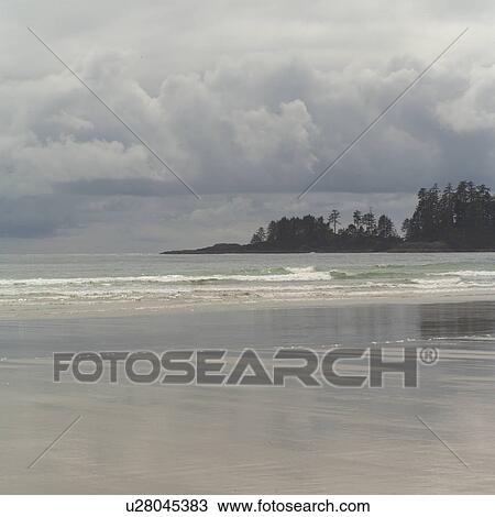 Long Beach, Pacific Rim Park, Vancouver Island, Canada View Large Photo Image Stock Image - Long Beach, Pacific Rim Park, Vancouver Island, Canada. Fotosearch