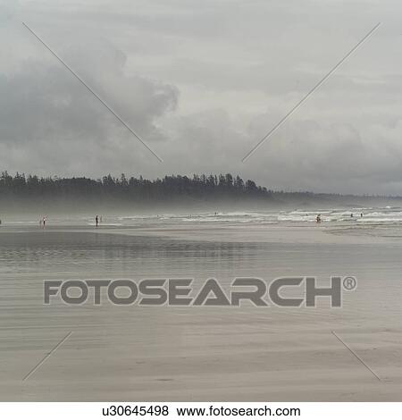Long Beach, Pacific Rim Park, Vancouver Island, Canada View Large Photo Image Stock Photo - Long Beach, Pacific Rim Park, Vancouver Island, Canada. Fotosearch