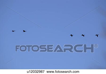 Stock Photo - Nova Scotia, Canada. Fotosearch