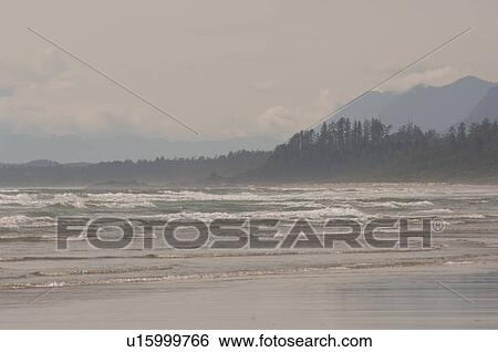 Stock Photograph - Ocean shoreline, Pacific Rim National Park, Vancouver Island, Canada. Fotosearch