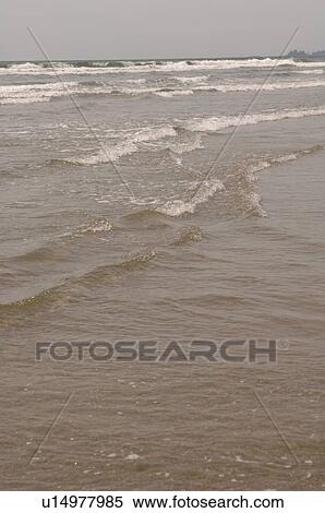 Ocean shoreline, Pacific Rim National Park, Vancouver Island, Canada View Large Photo Image Stock Photography - Ocean shoreline, Pacific Rim National Park, Vancouver Island, Canada. Fotosearch