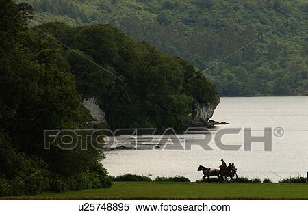 Stock Photography - Ireland - Killarney - horse and cart by lake. Fotosearch