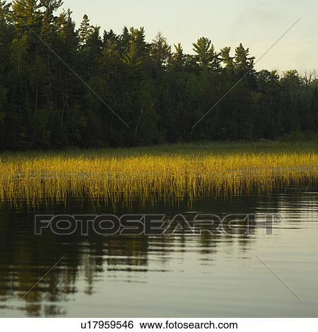 Stock Photograph - Lake of the woods - Ontario, Canada. Fotosearch