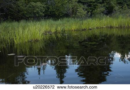 Lake Photography View Large Photo Image Stock Image - Lake Photography. Fotosearch