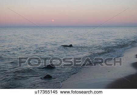 Lake Scenes View Large Photo Image Stock Photography - Lake Scenes. Fotosearch