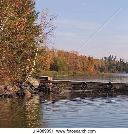 Stock Image - Lake shoreline in autumn colours. Fotosearch