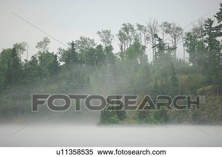Stock Photography - Mist over lake at edge of forest. Fotosearch