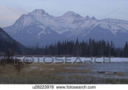 Vermillion Lake, Alberta, Canada View Large Photo Image Stock Photo - Vermillion Lake, Alberta, Canada. Fotosearch