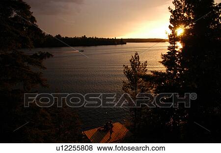 Stock Photo - View through trees of a sunset at Lake of the woods, Ontario, Canada. Fotosearch