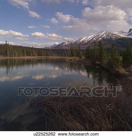 Lake in the Rocky Mountains View Large Photo Image Stock Image - Lake in the Rocky Mountains. Fotosearch