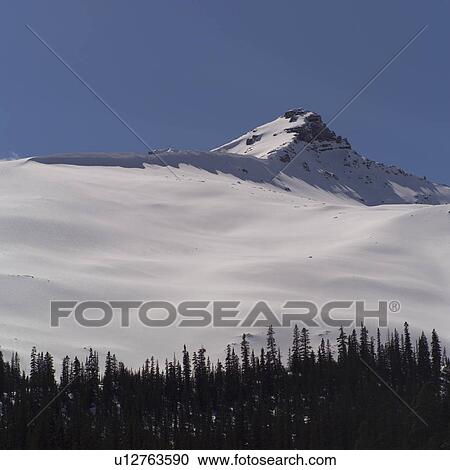 Snowy Mountains and trees View Large Photo Image Stock Image - Snowy Mountains and trees. Fotosearch