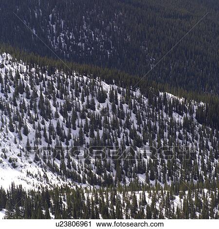 Snowy slopes of Rocky Mountains View Large Photo Image Stock Image - Snowy slopes of Rocky Mountains. Fotosearch